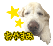 847243431