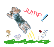 847243582