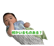 847243595