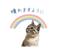 847243686