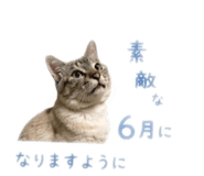 847243696