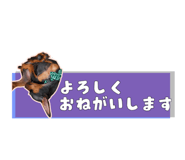 847243789