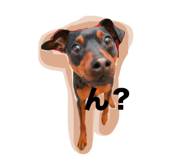 847243793