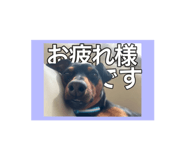 847243800