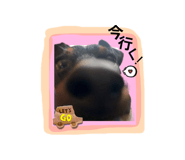 847243808