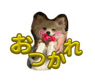 847243922