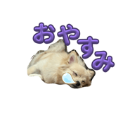 847243924