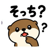 847244110