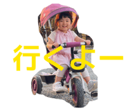 847244306