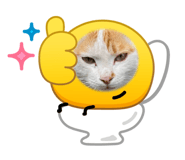 847259905