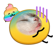 847259906