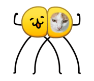 847259908