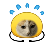 847259912