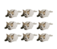 847259920