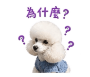 847259992