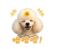 847260016
