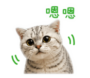 847260347