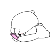 847260896