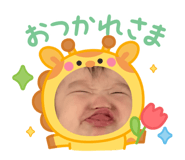 847261523