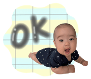 847261593