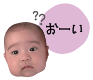 847261606