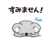 847262239