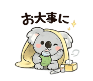 847262251