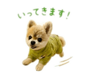 847262706