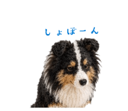 847263930