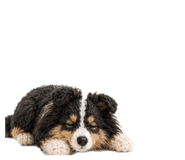 847263935