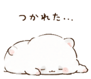 847264446