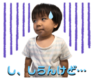 847265080