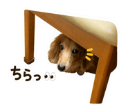 847266964