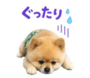 847267053