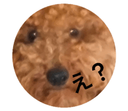 847267970