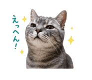 847268019