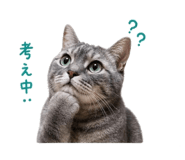 847268020