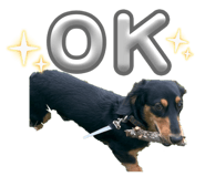 847268076