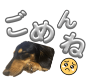 847268080