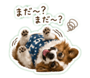 847269024