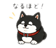 847269241