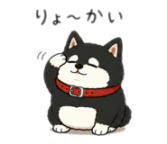 847269243