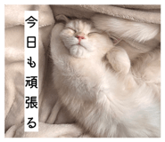 847269375
