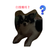 847277722