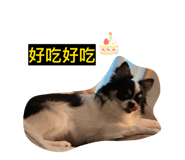 847277726