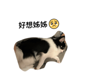 847277728