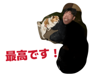 847279638