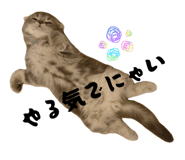847280674