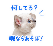 847281906