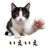 847287737